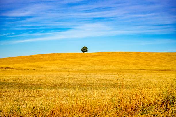 istock Hay fields in Cuenca province, Spain. 2235310958