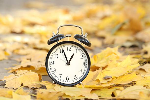 istock Autumn time. Alarm clock and fallen leaves on pathway outdoors, closeup 2235321145