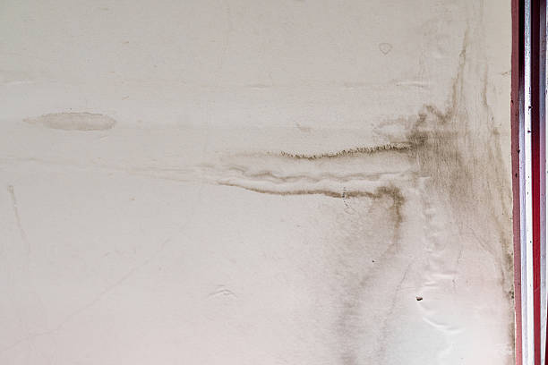 istock Water seepage stains on ceiling due to leaks from the roof. 2235323472