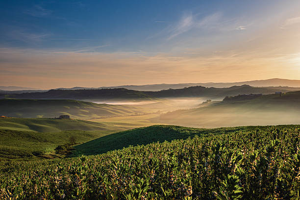 istock spring sunrise inside the tuscany hills, Italy 2235327387