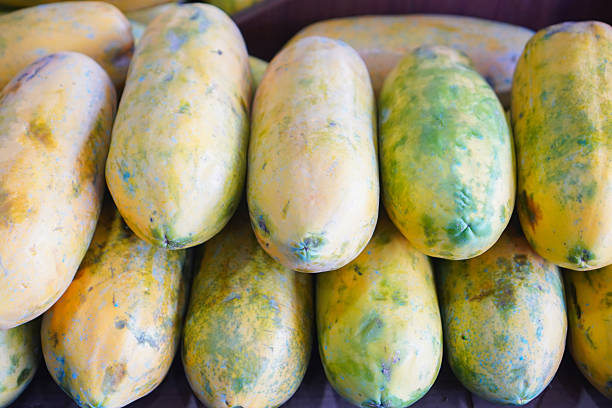 Close-up of ripe papayas arranged for market.