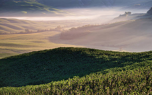 istock spring sunrise inside the tuscany hills, Italy 2235328363