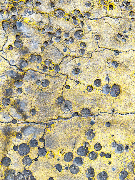 istock old texture stone wall background with holes and cracks, chipping paint from walls 2235334947