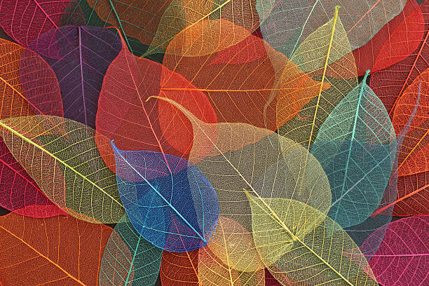 istock Colorful skeleton art leaves background, textured wallpaper 2235341323