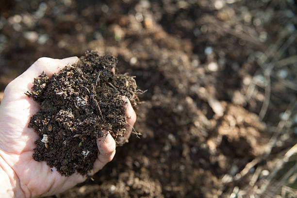 istock Hands Holding Organic Compost for Gardening 2235343468