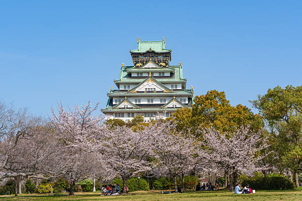 Osaka, Japan - April 8, 2025 : People picnicking on a grassy lawn under blooming sakura trees, with a scenic view of Osaka Castle in the park.