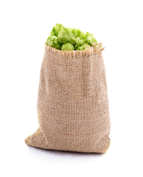 istock A bag of green hop cones. 2235350981