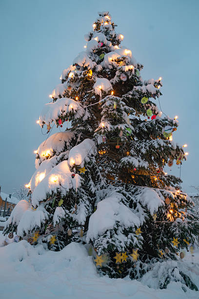 istock Christmas tree with snow and holiday lights 2235351802