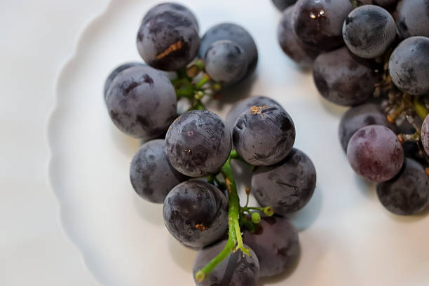 istock Fresh dark grapes arranged on a white plate, showcasing their rich color and texture. Ideal for healthy eating concepts or food-related articles. 2235358318