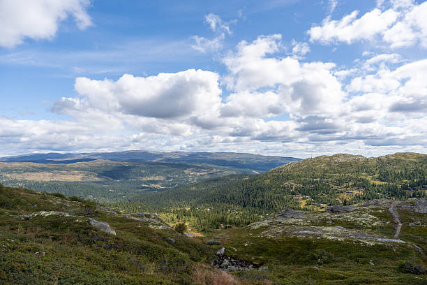 istock Panoramic Norwegian Valley with Forest and Mountain Cabins 2235360080
