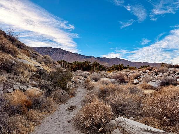 istock Golden Desert Grass and Rocky Trails Toward Rugged Mountains 2235362282