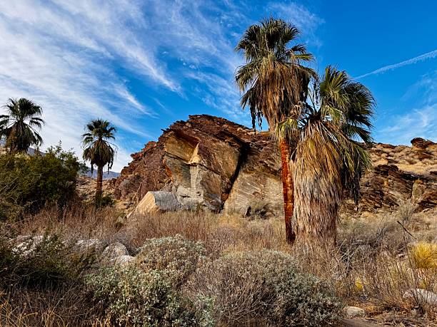 Flanked by palm trees under a bright blue sky, the rugged natural terrain is surrounded by arid vegetation. The scene highlights a dramatic rock formation with distinct layered textures.