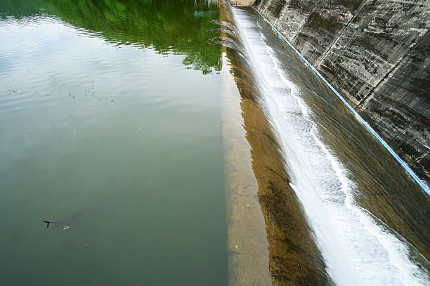 Toronto, On, Canada  - October 20, 2023: Salmon Run on the Humber River at Old Mill Park in Canada