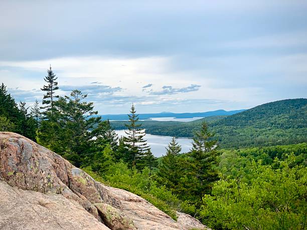 A rocky foreground opens to a lush green forest and a serene lake in the distance, all beneath a cloudy sky. This peaceful wilderness landscape offers a perfect setting for nature and travel themes, capturing the quiet beauty of the outdoors.