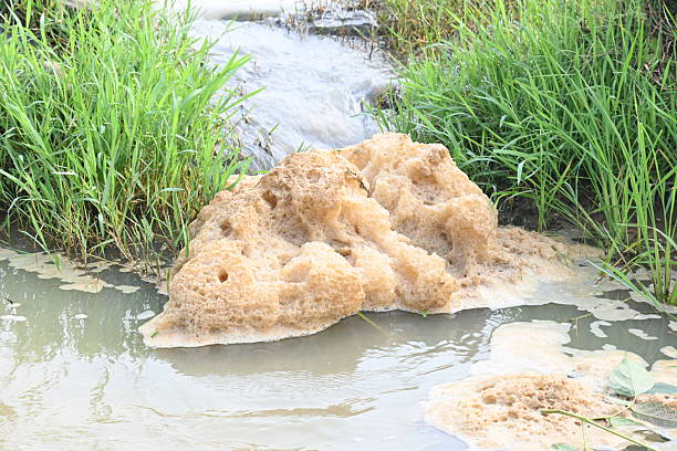 istock Murky foam mass floating on a small stream of water. 2235369772