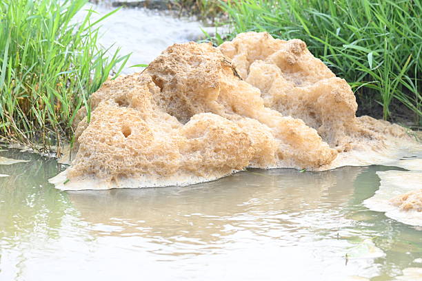 istock Murky foam mass floating on a small stream of water. 2235369847