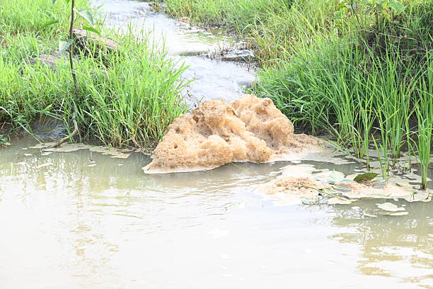 istock Murky foam mass floating on a small stream of water. 2235370098