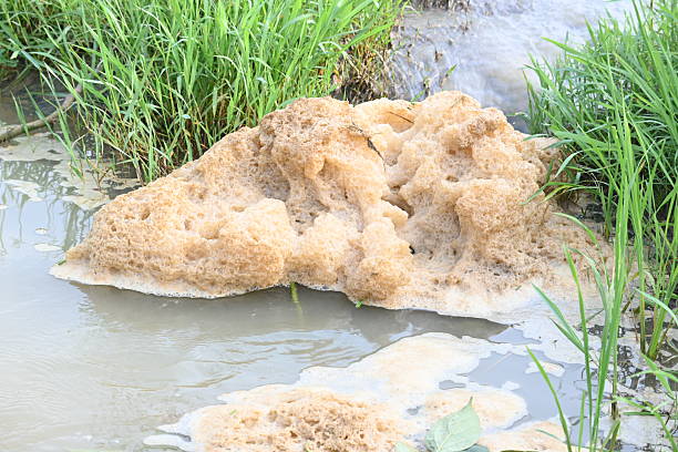 istock Murky foam mass floating on a small stream of water. 2235370222