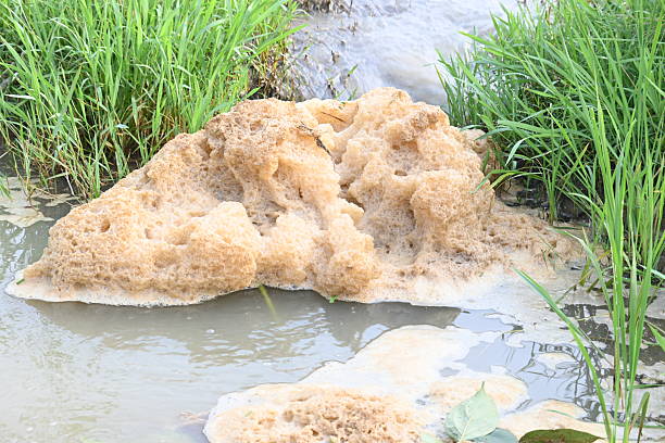 istock Murky foam mass floating on a small stream of water. 2235370300