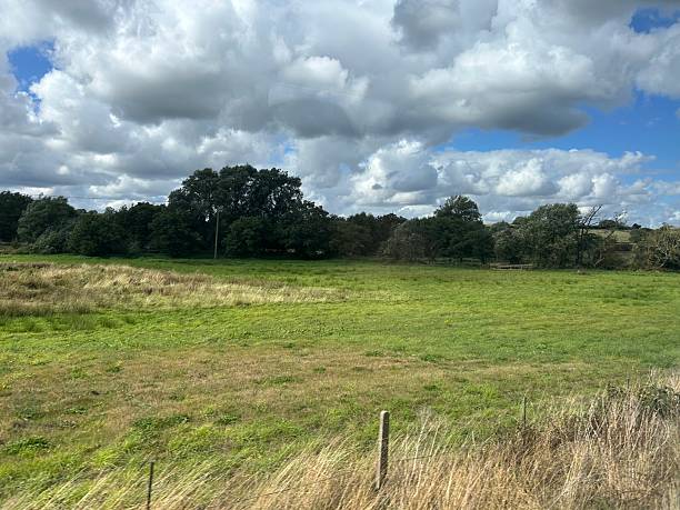 istock Beautiful Countryside Under Cloudy Sky with Green Fields and Trees 2235370870