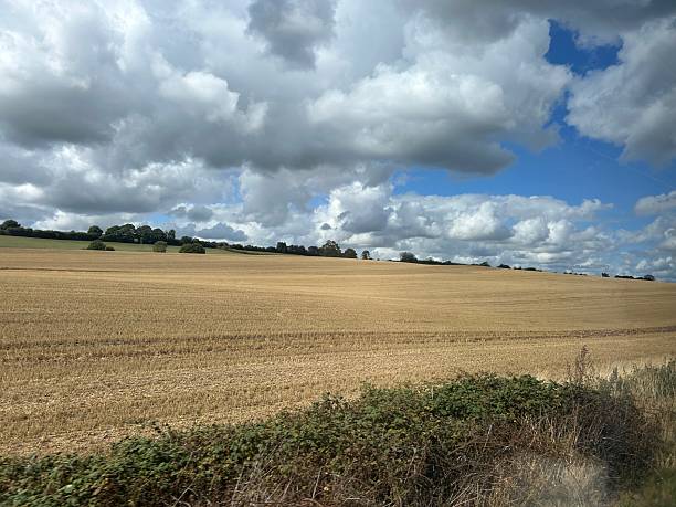 istock Beautiful Countryside Under Cloudy Sky with Green Fields and Trees 2235370894