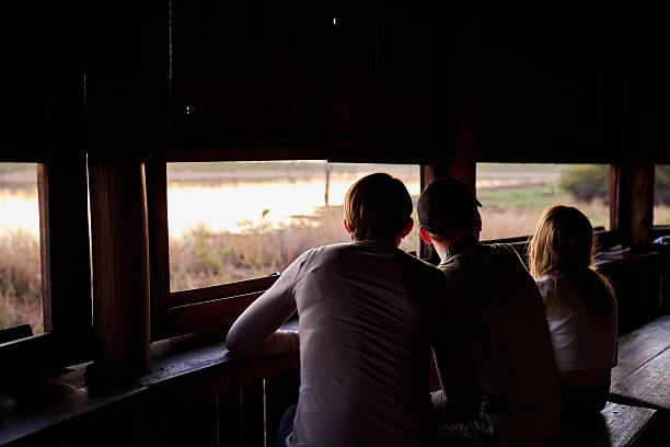 istock Three people observing nature from a wooden hide in Kruger Park 2235375868