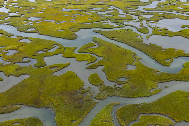 istock Aerial View of a Beautiful Salt Marsh on Cape Cod, Massachusetts 2235379535