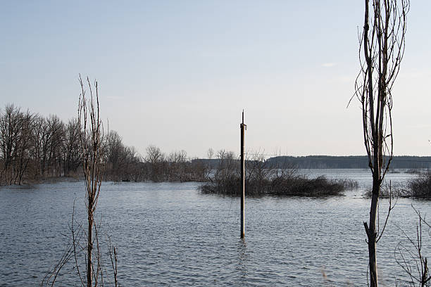istock Water covers an expansive area, partially submerging trees and shrubs in the background. The scene captures a calm atmosphere with clear skies and distant hills 2235381197