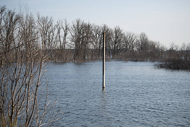 Water covers the ground in a rural area with bare trees lining the horizon. A lone utility pole stands in the middle of the flood, showcasing the extent of the water's reach.