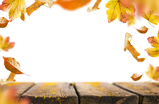 istock Falling Autumn Leaves With Wooden Table And White Background 2235384224