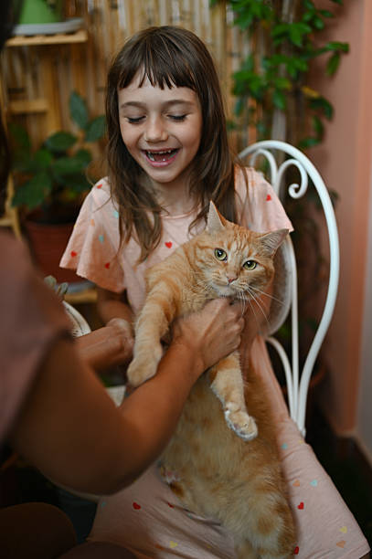 istock Happy girl holding a ginger cat on her lap while sitting on a chair 2235385440