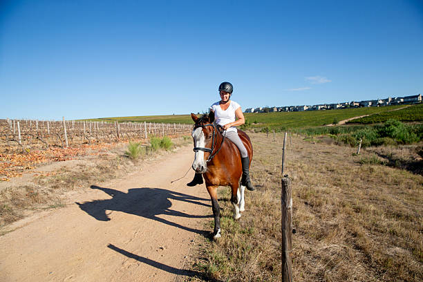 photo of a horse running in a ranch
