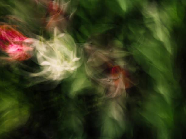 Abstract floral motion blur in dreamy tones