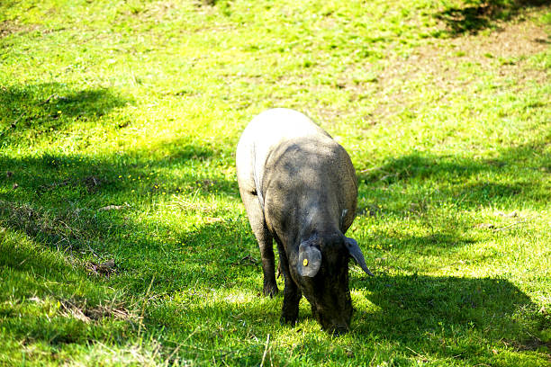 Photo taken in Auckland, New Zealand