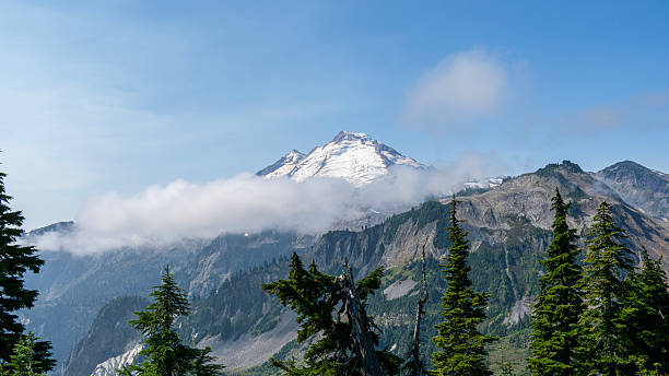istock Alpine Splendor on Artist Ridge Trail 2235401257