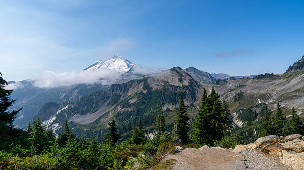 istock Alpine Splendor on Artist Ridge Trail 2235401258