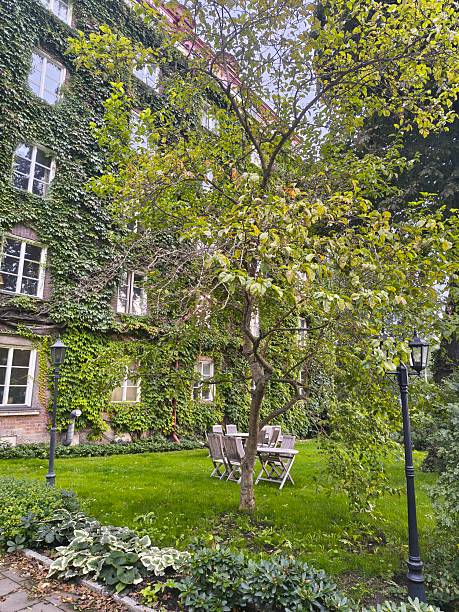 istock Beautiful garden Stockholm 2235406133