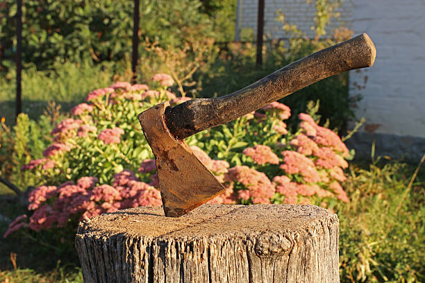 An axe is stuck into a stump to chop wood