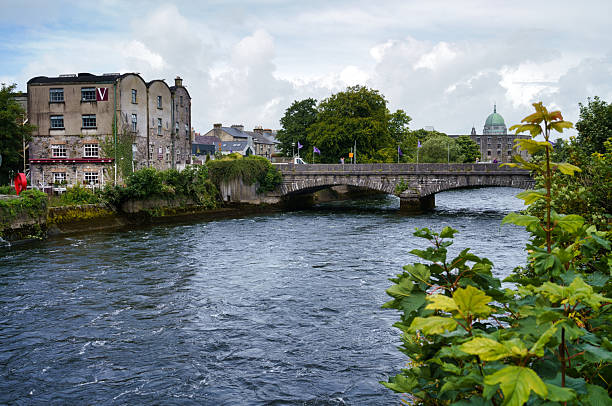 Scenic view of a river flowing under a bridge in Ireland, with buildings and trees in the background.