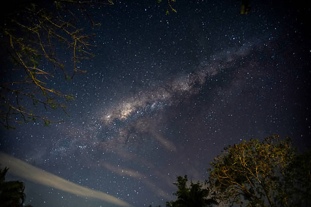 istock Starry Night Sky with Milky Way Galaxy and Trees in Brazil 2235422446