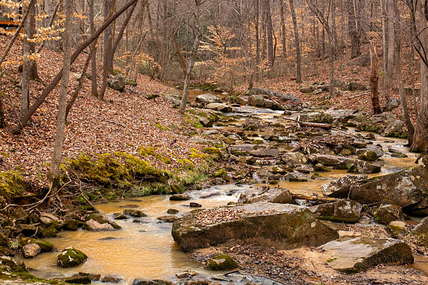 istock The image shows tranquil, rustic forest creek in the fall. 2235424532