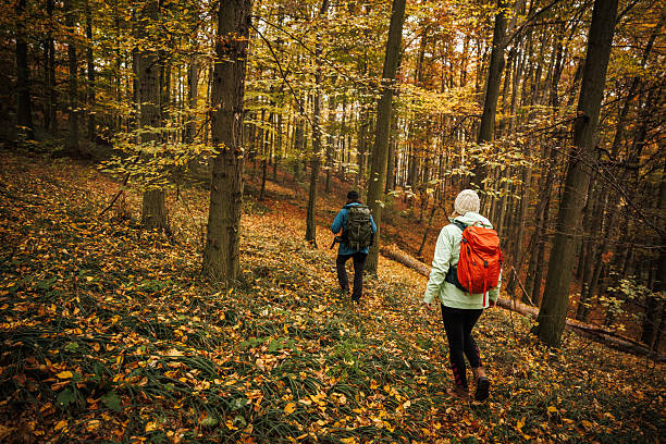 istock Two hikers walking on footpath in autumn woodland 2235429047