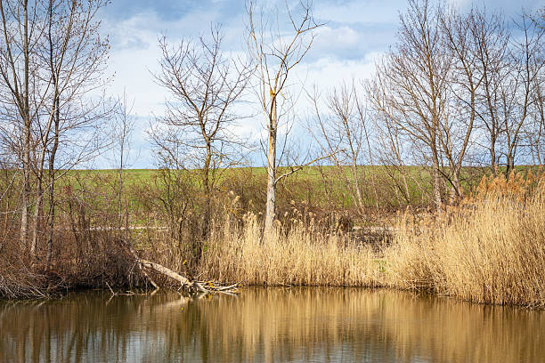 istock lake shore - daylight , sunny day 2235429847