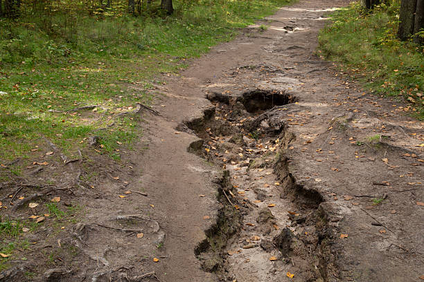istock Soil erosion in the forest after rain. 2235432150