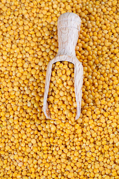 istock Yellow lentil on the white background 2235441801