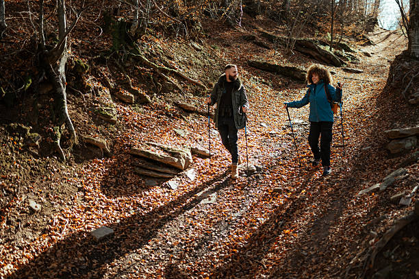 istock Hikers walking downhill on a trekking path in the woods 2235448493
