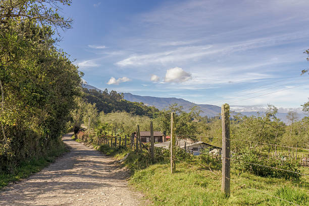 A rural gravel road illuminated by the morning sun, bordered by the barbed wire fence of a farm, in the eastern Andean mountains of central Colombia, near the Iguaque natural reserve.