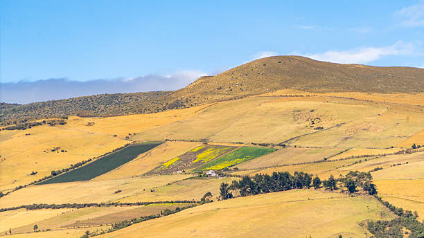 istock Yellowish green hills in the Andes 2235452813