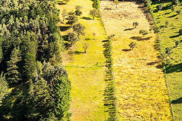 istock Yellowish green hills in the Andes 2235452855