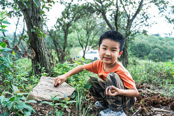 A young boy is crouching in a green outdoor area, exploring nature with plants and trees around.